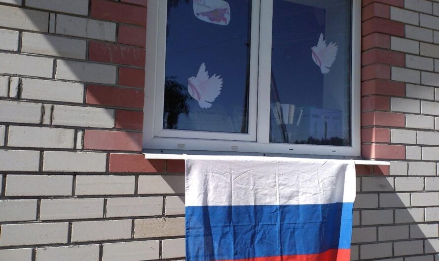 Окна России в Васильевке