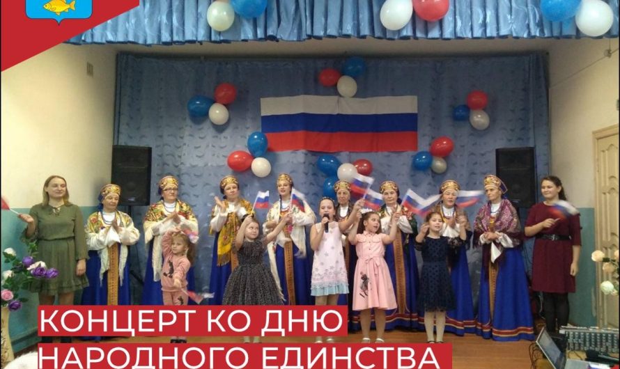 Концертная программа «Россия объединяет» ко Дню народного единства.