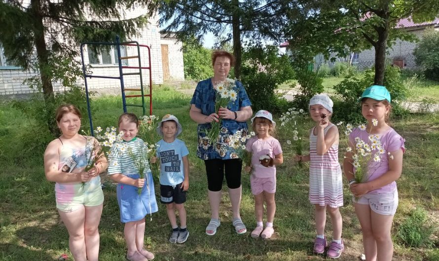 Радуга добра акция «Подари ромашку» прошла в село Глухово
